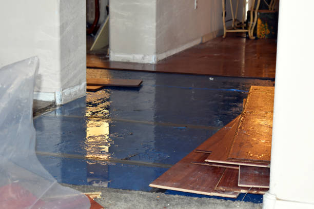 Professional Water Damage Restoration technician working in Channahon, IL